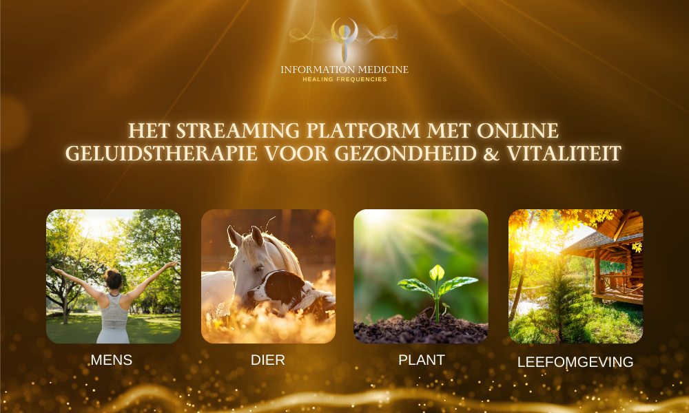 IM_promoslider-pic-1